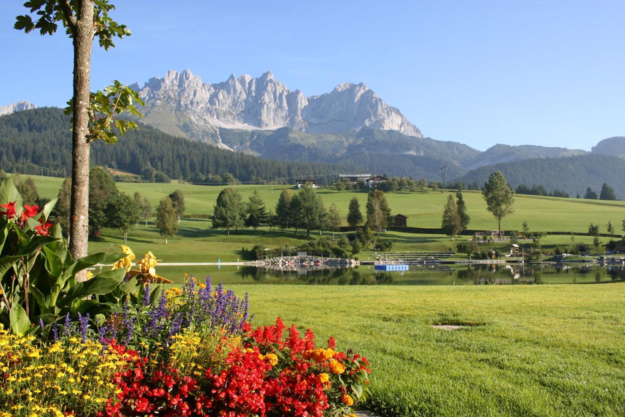 Appartement Claudia Going am Wilden Kaiser Екстер'єр фото